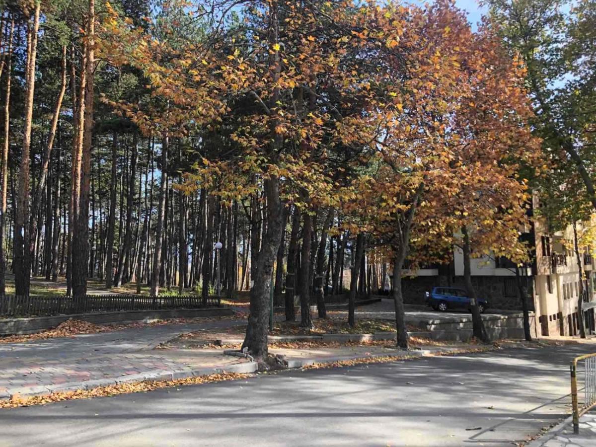 Borov Park 1 Apartman Velingrad Kültér fotó